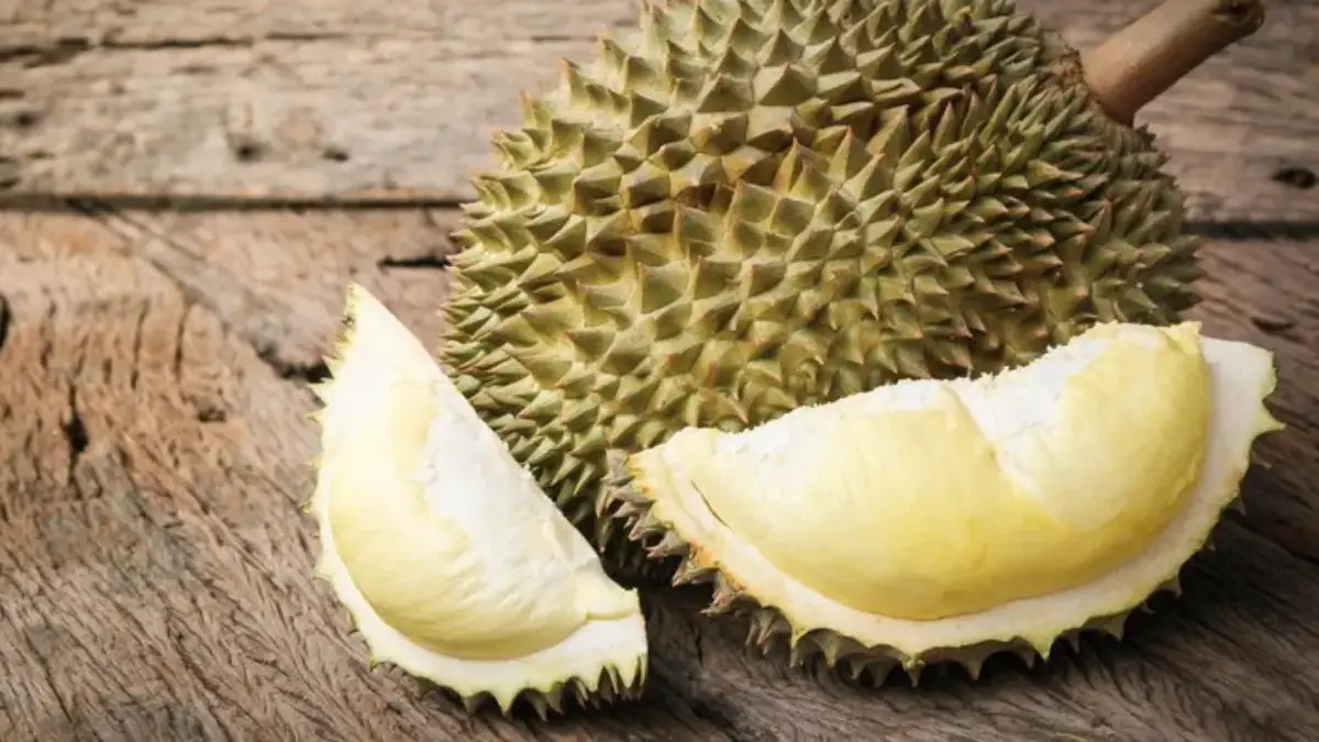 Mengenal Ragam Durian Lokal Unggulan Nusantara
