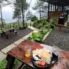 Sensasi Ngopi Syahdu di Tengah Hutan Pinus Kuningan