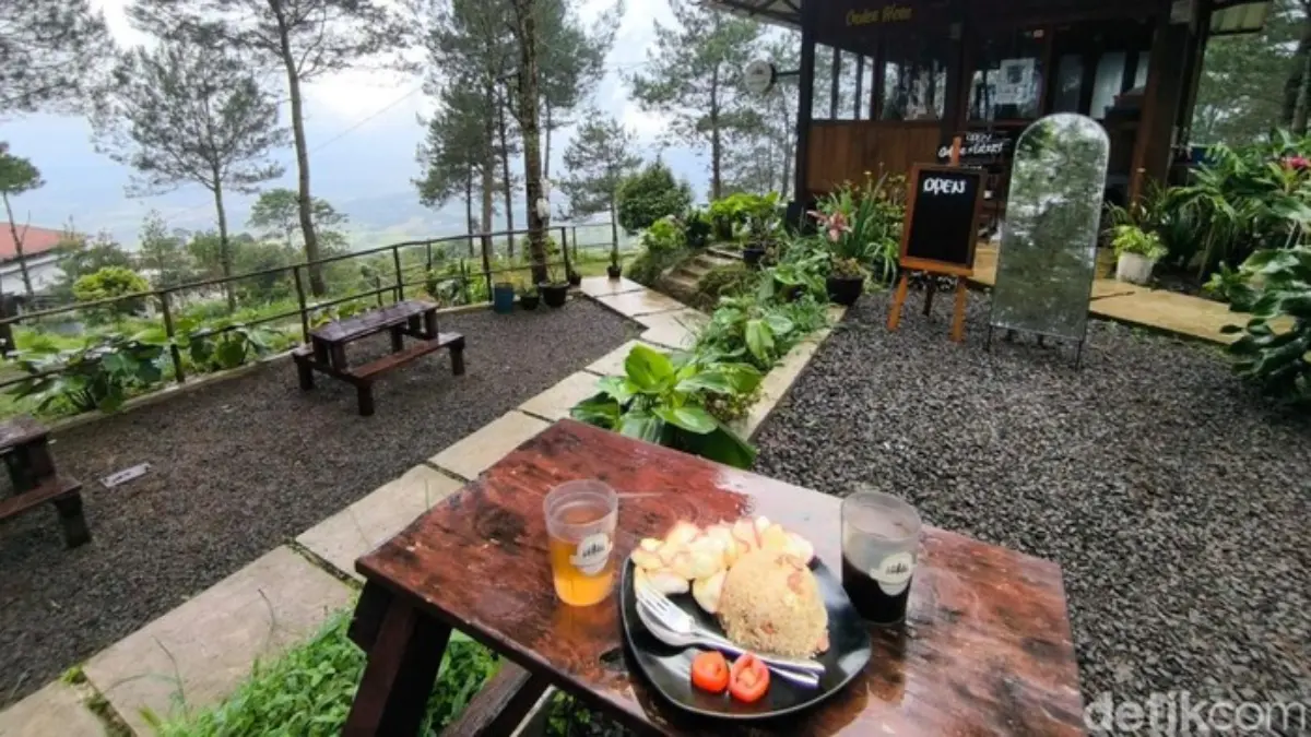 Sensasi Ngopi Syahdu di Tengah Hutan Pinus Kuningan Sensasi Ngopi Syahdu di Tengah Hutan Pinus Kuningan