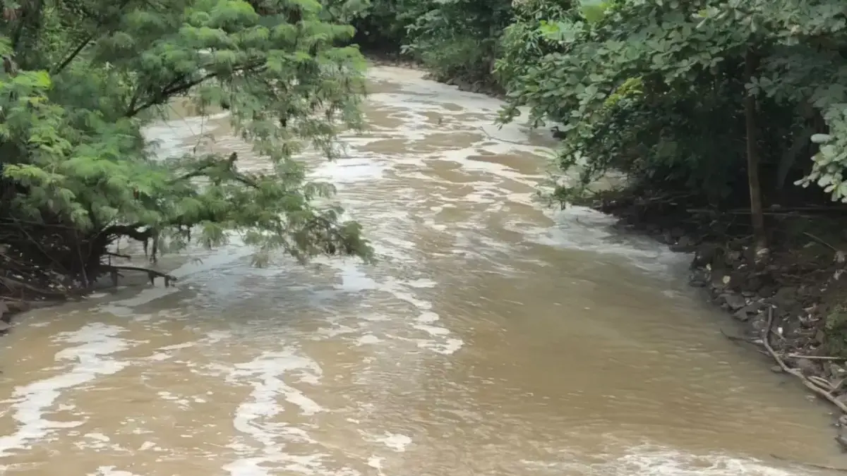 Sungai Cisadane Tercemar Limbah Gudang Kimia, Air Putih Hingga Bau Minyak Tanah