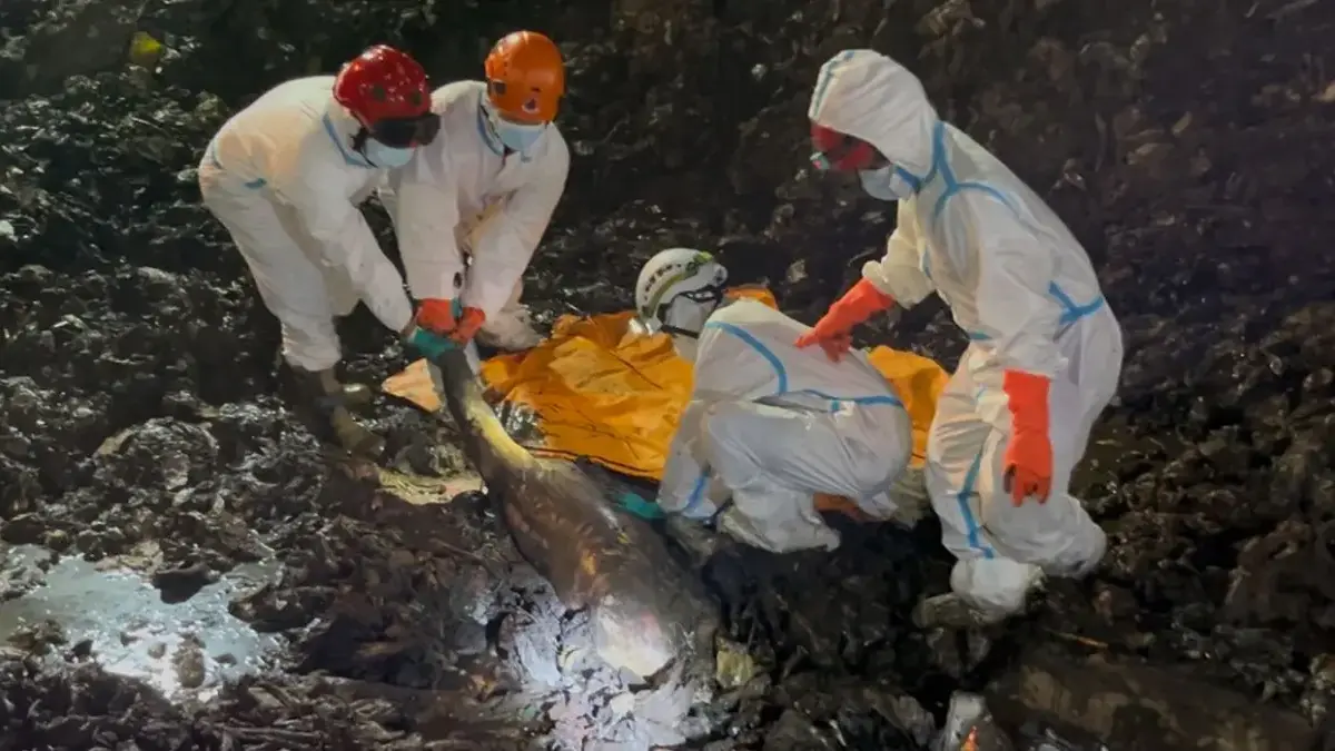 Ditemukan Jelang Tengah Malam, Korban Longsor Sampah Bantar Gebang Jadi 7 Orang.