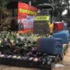 5.000 Botol Miras, 280 Knalpot Brong, & 5.000 Petasan di Subang Dimusnahkan, Dilindas hingga Hancur.
