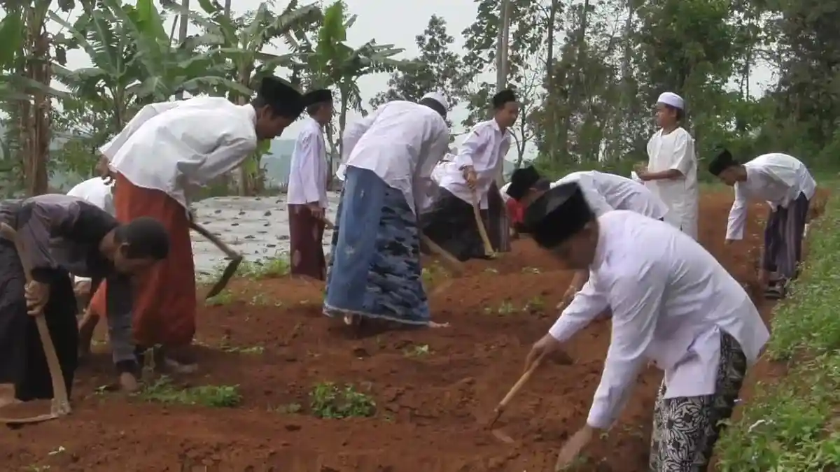 Mengaji, Menanam, dan Bertahan Hidup: Pesantren di Subang Membekali Santri Keterampilan Pangan Mengaji, Menanam, dan Bertahan Hidup: Pesantren di Subang Membekali Santri Keterampilan Pangan.