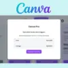 Cara Langganan Canva Pro Resmi