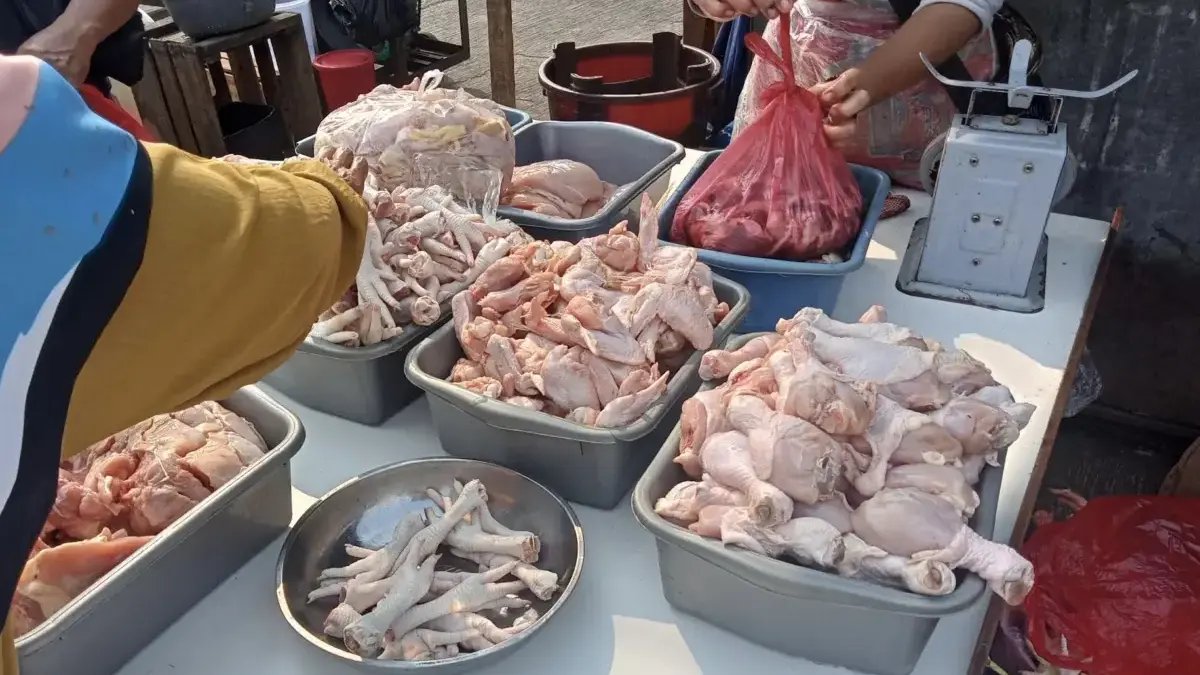Kebutuhan Daging Ayam di Jakarta Melonjak 10.77 Persen Jelang Lebaran Harga Ikut-ikutan Naik
