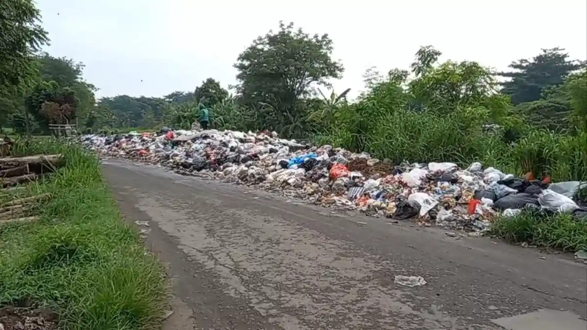 Ngeri! Sampah di TPS Gebang Cirebon Menggunung Hingga Diserbu Belatung, Warga Keluhkan Bau Busuk.
