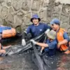 Pramono Bentuk Timsus Pemburu Ikan Sapu-sapu, Jaga Kelestarian Sungai Jakarta.