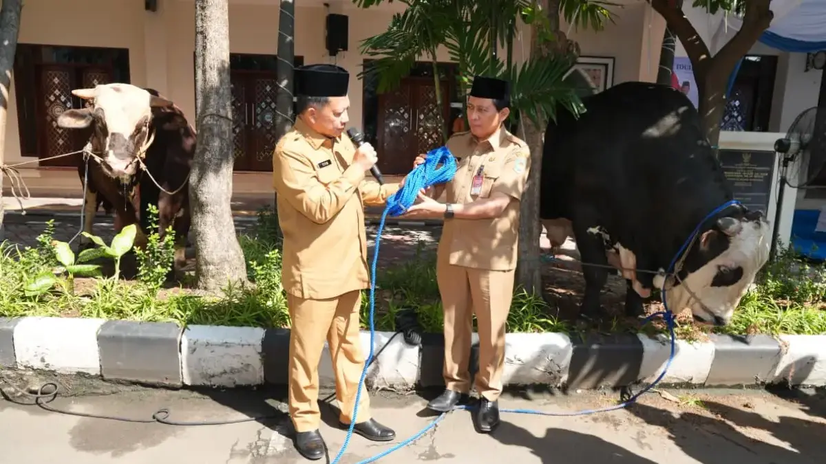 Perkuat Kepedulian Sosial, Mendagri Serahkan Hewan Kurban Kemendagri dan BNPP