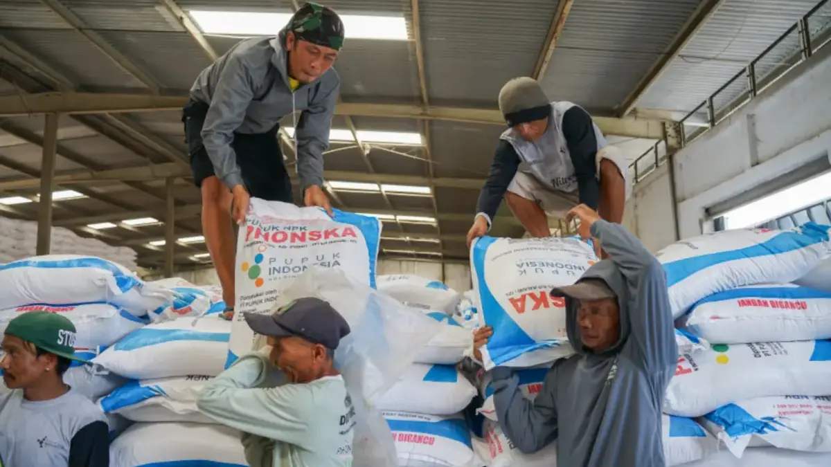 Serapan Pupuk Bersubsidi di Jawa Barat Tinggi, Pupuk Indonesia Pastikan Stok Aman Serapan Pupuk Bersubsidi di Jawa Barat Tinggi, Pupuk Indonesia Pastikan Stok Aman.