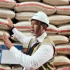 BULOG Tembus 3 Juta Ton Serapan Gabah-Beras Petani, Rekor Baru Penguatan Cadangan Pangan Nasional.