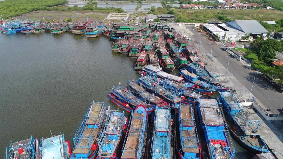 Tetapkan Harga BBM Khusus Kapal 30-200 GT Rp15 Ribu, KKP: Produktivitas dan Daya Saing Perikanan Tetapkan Harga BBM Khusus Kapal 30-200 GT Rp15 Ribu, KKP: Produktivitas dan Daya Saing Perikanan